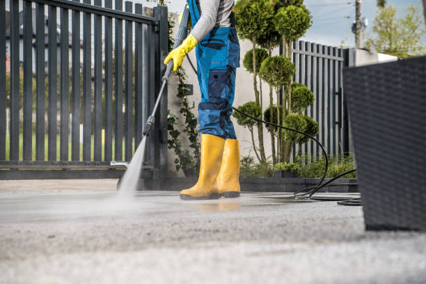 Animal Enclosure Cleaning in Enlow, PA