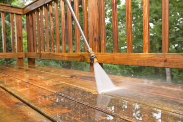 Best Soft Washing  in Enlow, PA